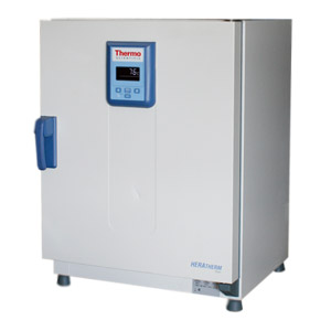 Thermo Heratherm OMS100 51028122 General Protocol Oven